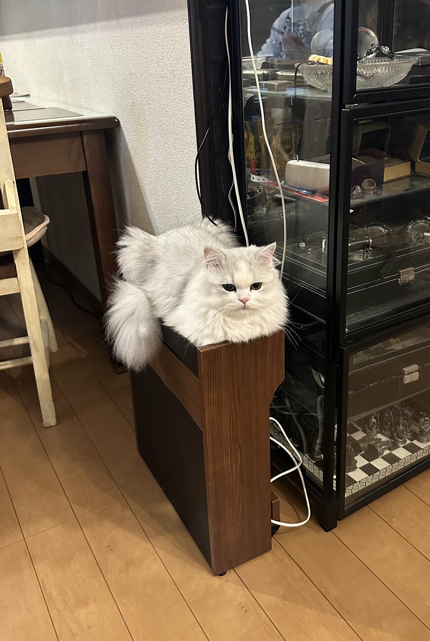 出所：@NEKOLAND13