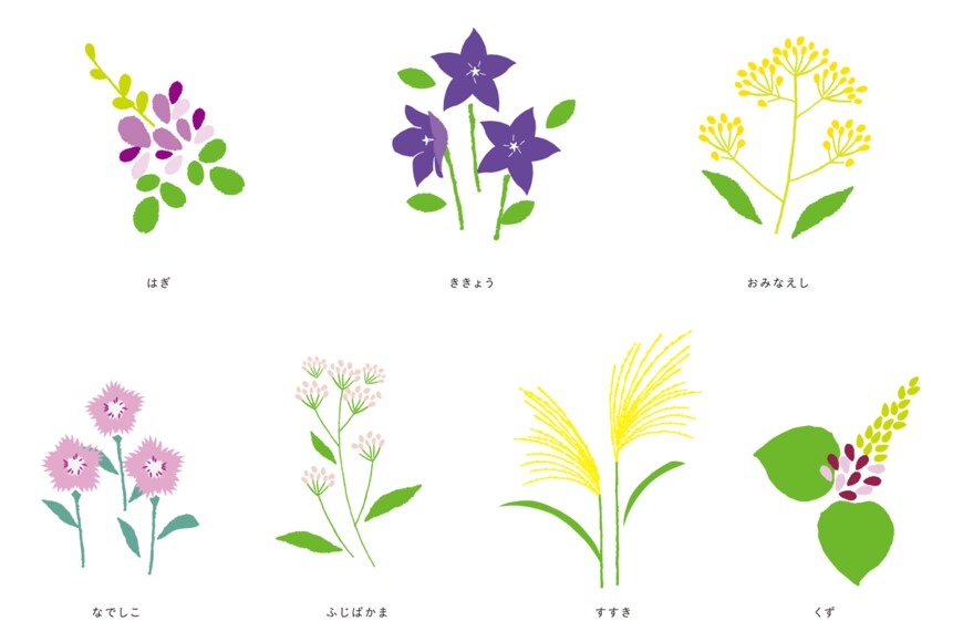                                                                 perori/shutterstock.com