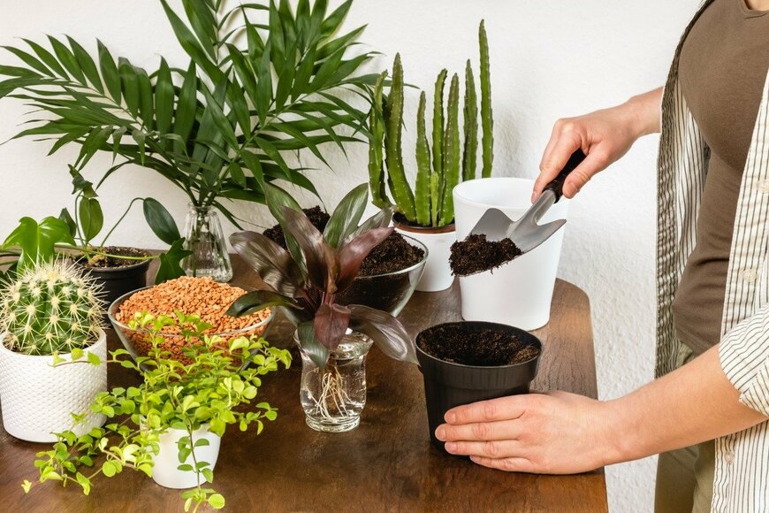 Julia Lavrinenko/istockphoto.com