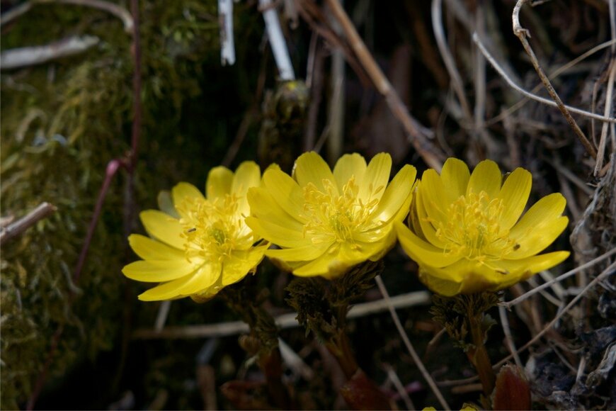 minipins/istockphoto.com