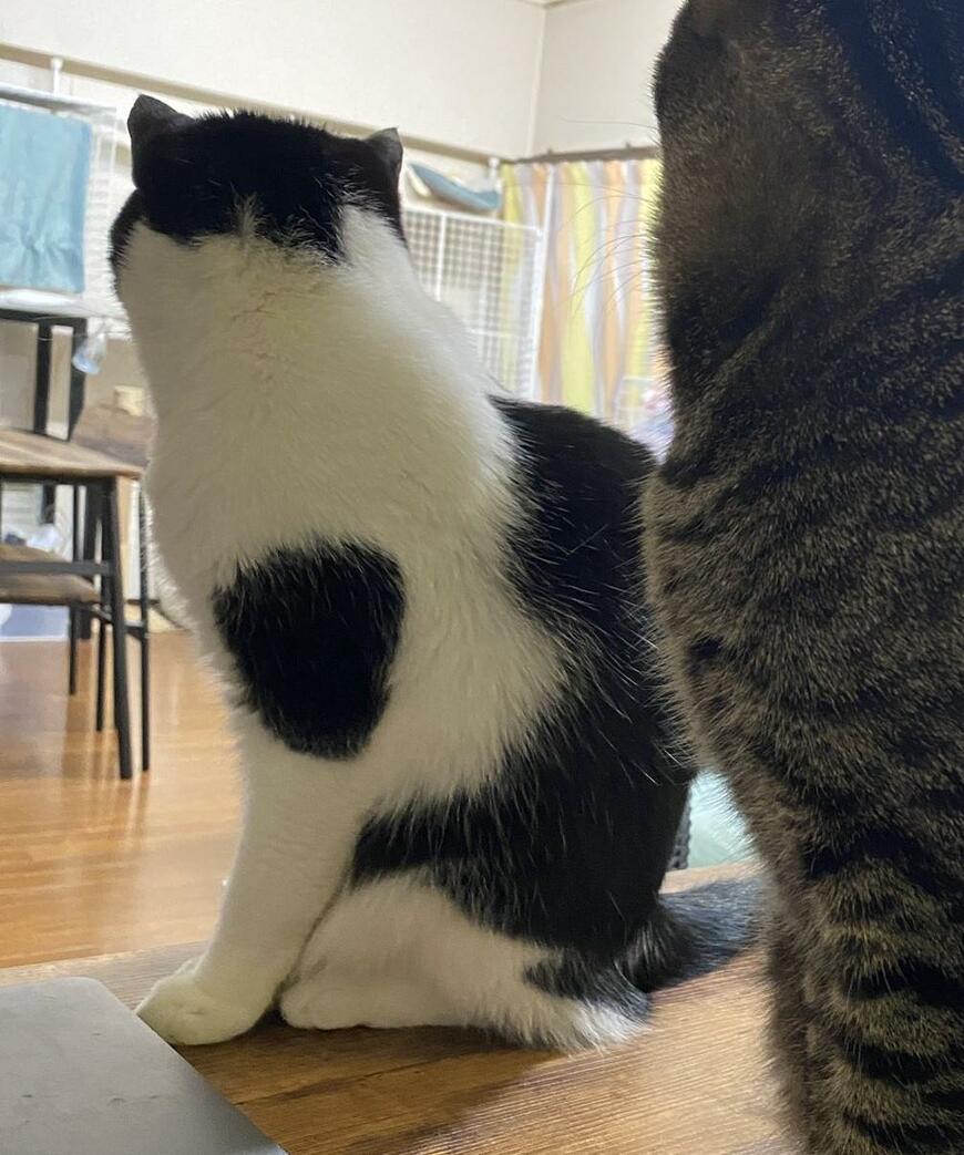 出所：@00shitemita