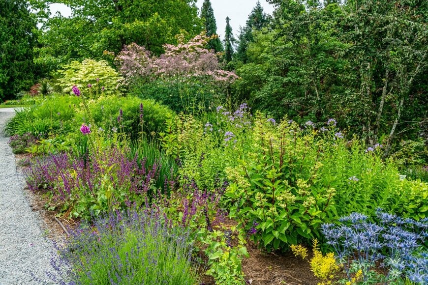 GeorgeColePhoto/shutterstock.com