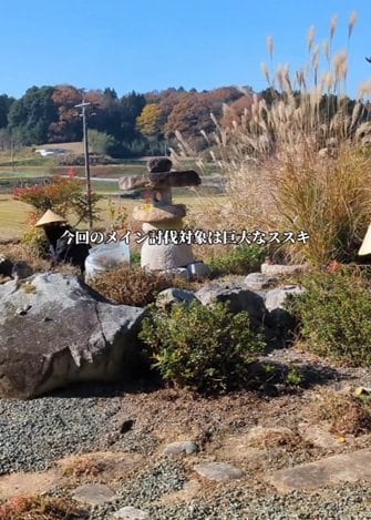 出所：@kusakari.zamurai