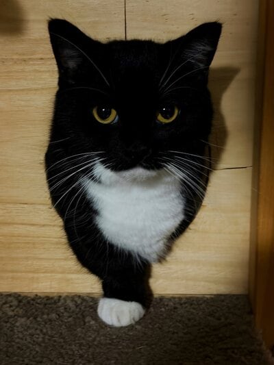 出所：@unicouniuni3