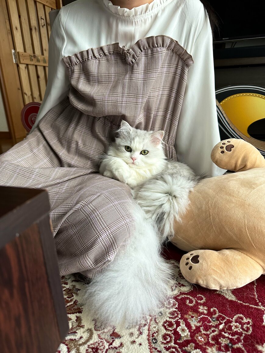 出所：@NEKOLAND13