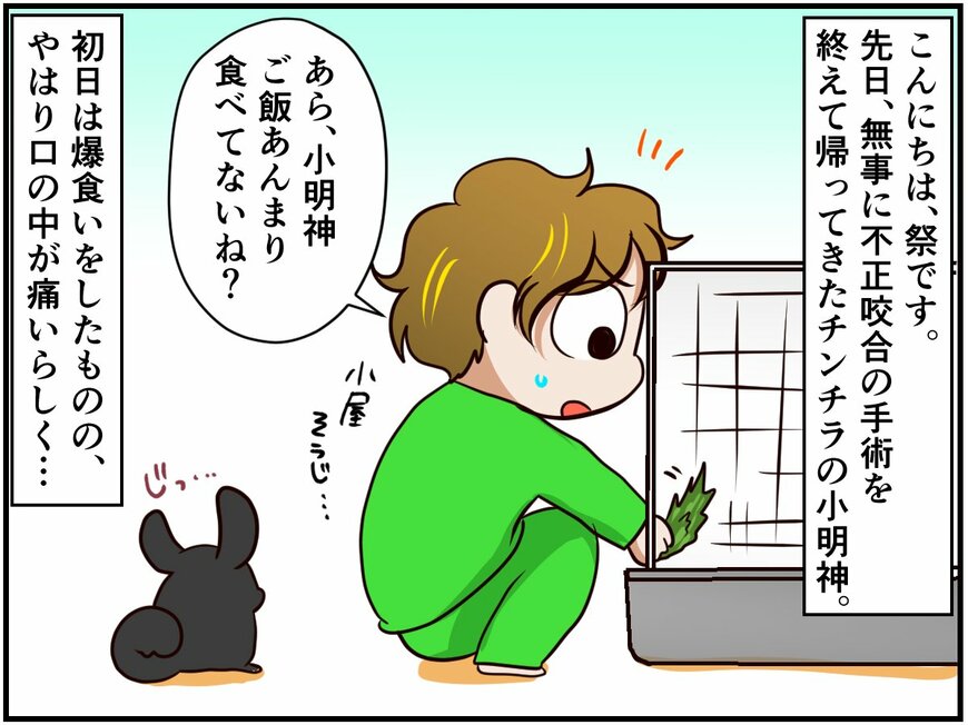 介護生活再び。試行錯誤で見つけた独自の給餌スタイル!? 通院ライフ～介護編～【チンチライフ57話】