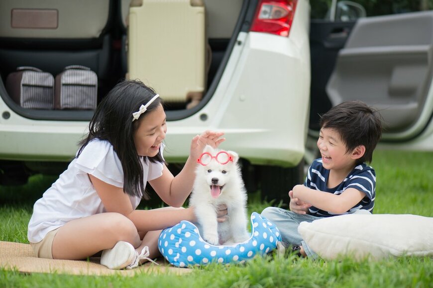 ANURAK PONGPATIMET/shutterstock.com