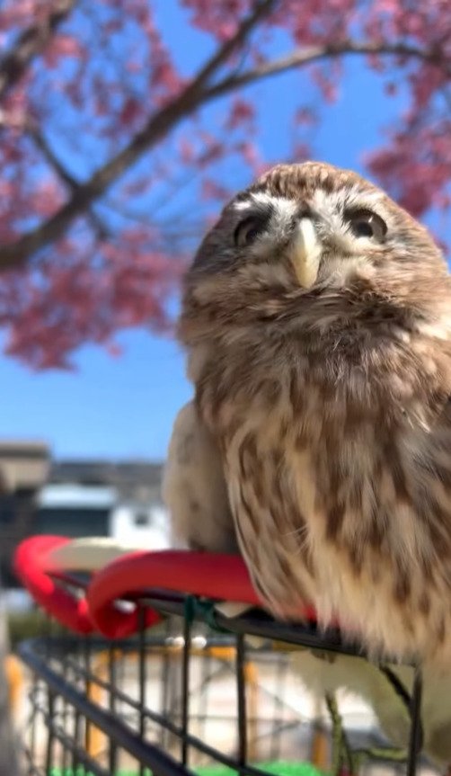 出所：@cr8673.hiro