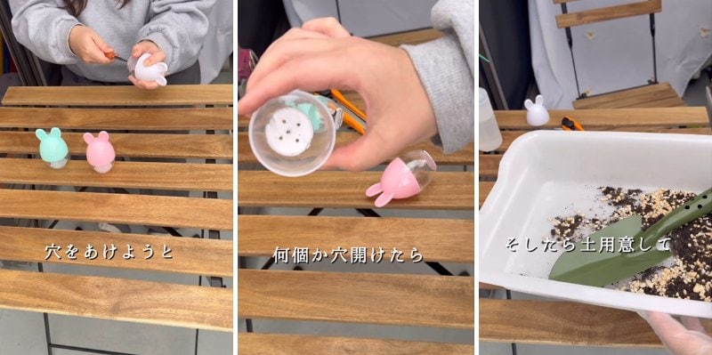 投稿の画像
