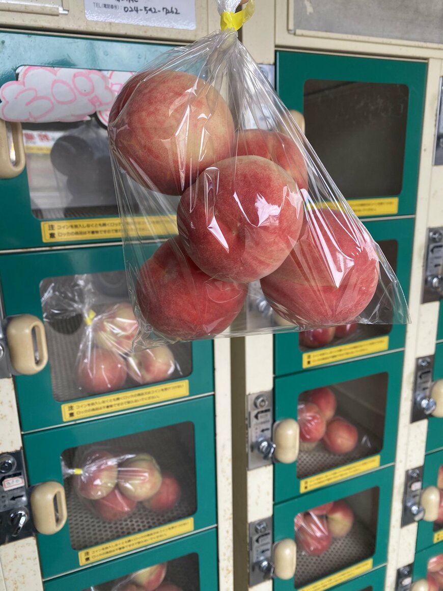 実際に購入した様子
