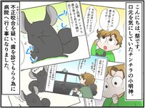 愛しい命に関わる決断に飼い主の心は揺れ動く。通院ライフ～診察編～【チンチライフ54話】