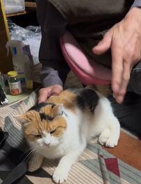 保護を猛反対して激怒していた父　「すっかり下僕」と化した映像に心が温まる