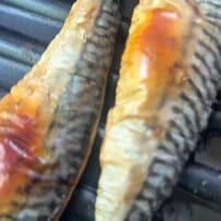 楽ちんなのにお店レベル！【サバ照り弁当】骨なしサバを焼いてタレで味付け！ご飯の上にドーンとサバをのせた美味しそうなお弁当に注目
