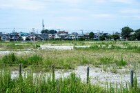 所有者不明の土地を政府が使える制度の整備が必要