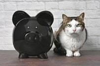 老後資金は年金以外で3000万円必要？定年後と現役時代の支出の違いや貯蓄額の試算もチェック