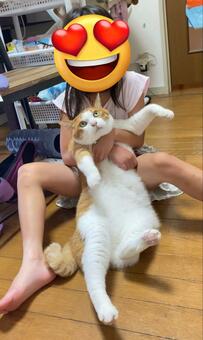 抱っこされて「虚無になった猫ちゃん」が面白すぎる！まさかの表情に思わず二度見