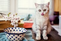 厚生年金「月額10万円以上」は平均より少ないでしょうか？老後資産の準備は何から始めたらいいでしょうか？