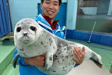 ふわふわで軽そうに見える「アザラシの赤ちゃん」 意外な体重に
