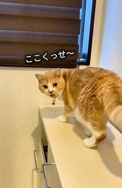 投稿の画像