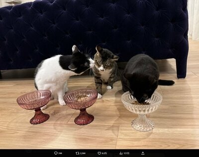 藤あや子のInstagram投稿