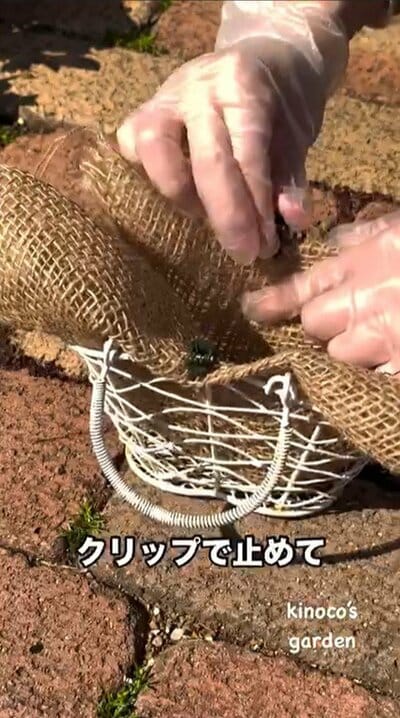 きの子（@miekinoco）さん投稿動画のキャプチャ