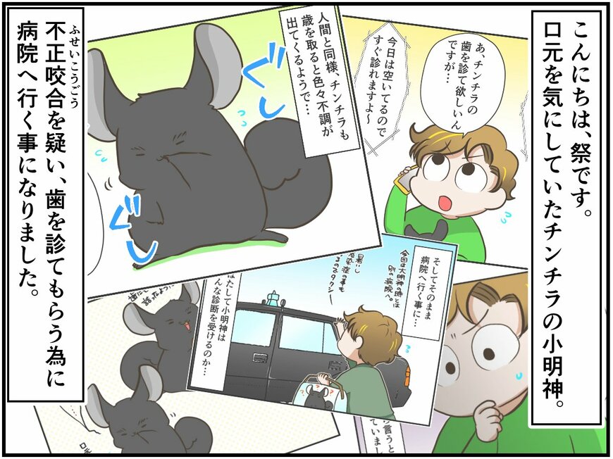 愛しい命に関わる決断に飼い主の心は揺れ動く。通院ライフ～診察編～【チンチライフ54話】