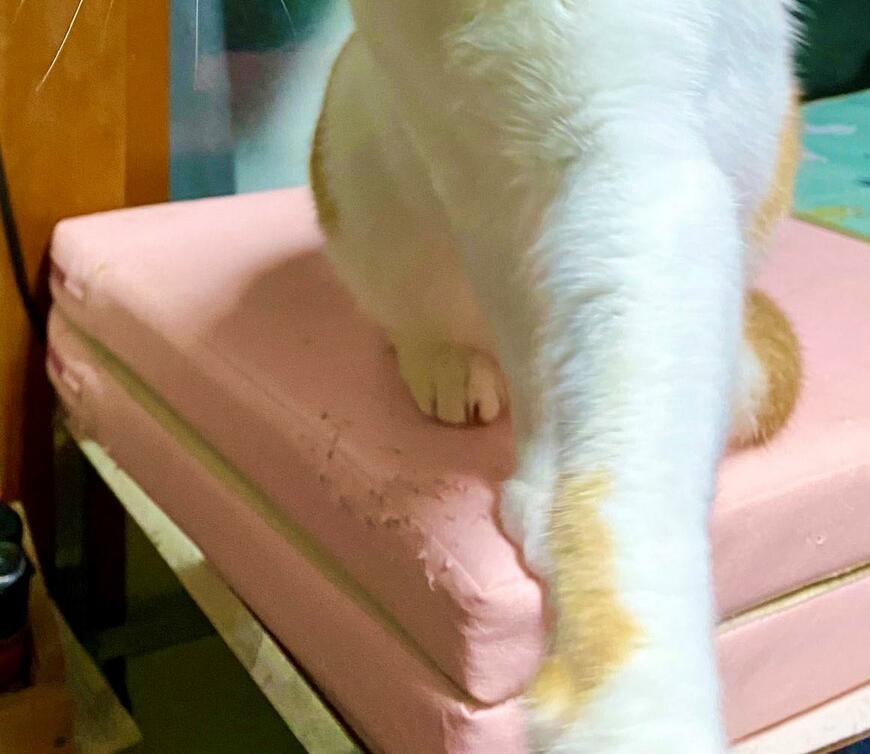 出所：@luna7taka9