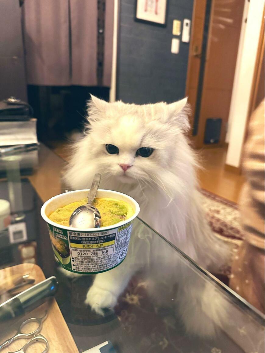 出所：@NEKOLAND13