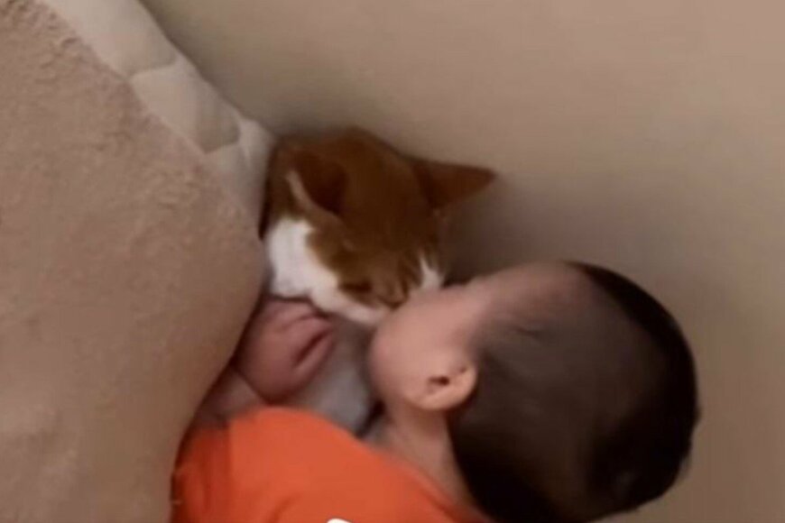 ゼロ歳児の「まさに猫可愛がり」な動画が話題　「ママの真似」にほっこり