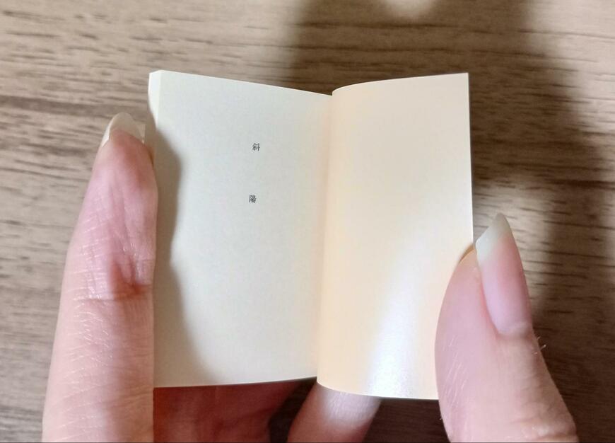 出所：筆者撮影（ガシャポン、豆ガシャ本 新潮文庫）