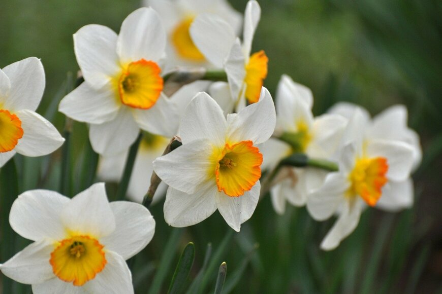 Orest Lyzhechka/istockphoto.com