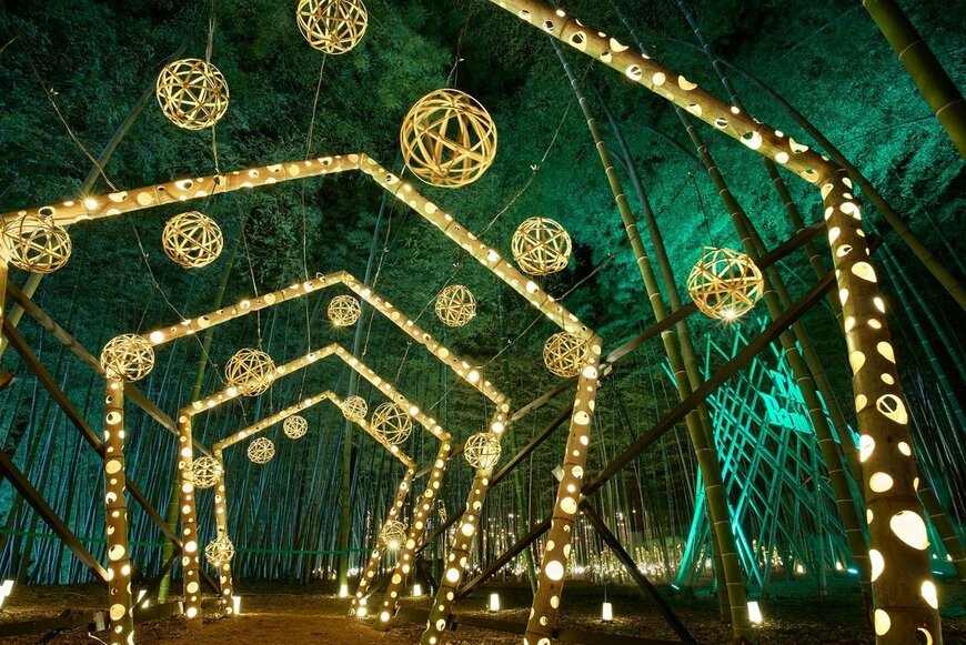 新潟県の竹林が夜のアート空間に「色鮮やかな光」で彩る　幻想的なイベントがたまらない…