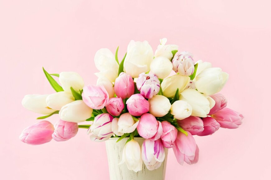 Laima Gri/shutterstock.com