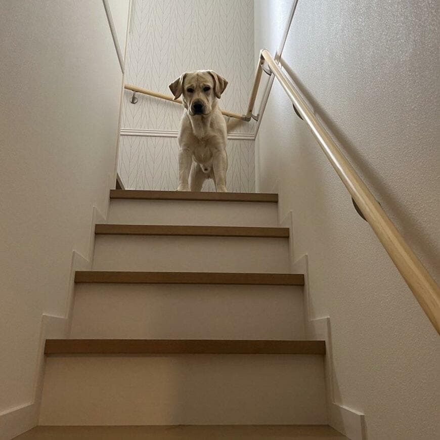 出所：@yokozuna_lab