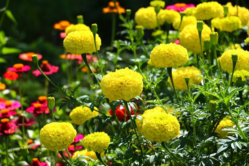 Real Moment/Shutterstock.com