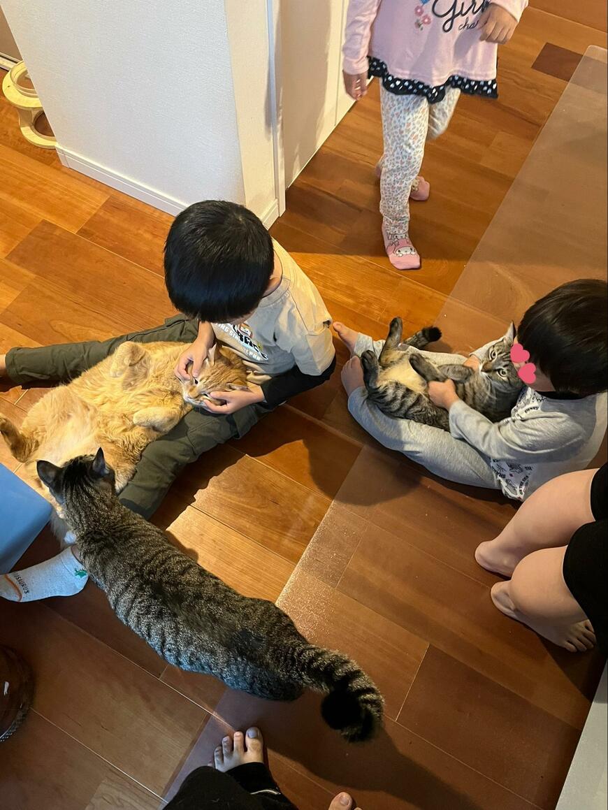 出所：@kagisuzu0531