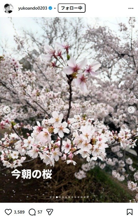 出所：安藤優子のInstagram（＠yukoando0203）参照日：2026年3月31日