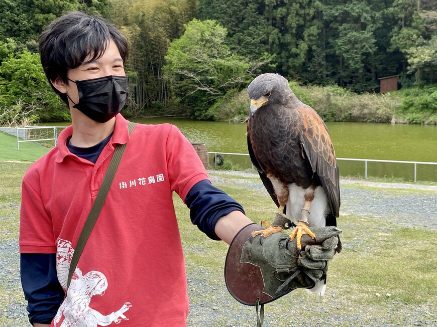 画像出所：ホークフライト体験（筆者撮影）