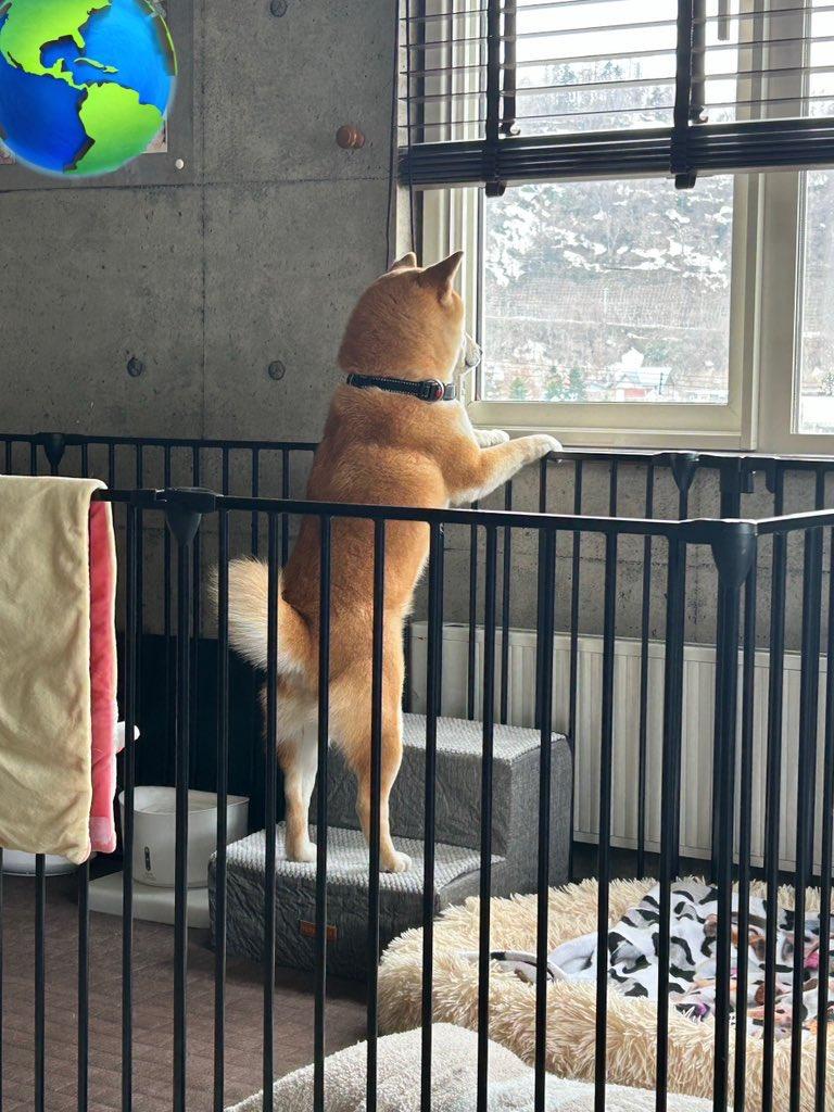 出所：@esuenuesukowai