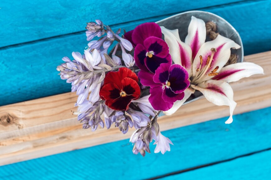 FotoMirta/istockphoto.com