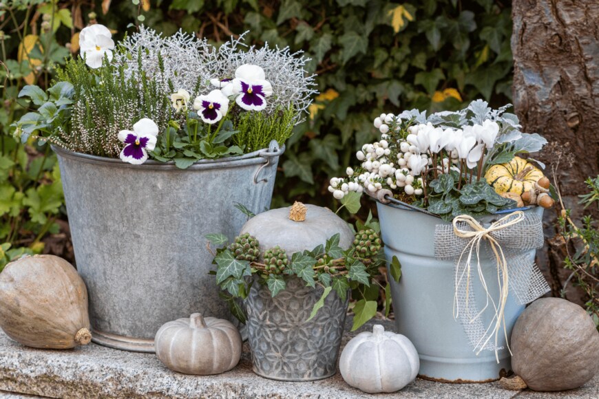 Natalia Greeske/istockphoto.com