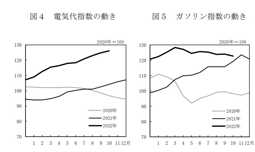 出所：総務省「2020年基準 消費者物価指数 全国 2022年(令和4年)10月分」