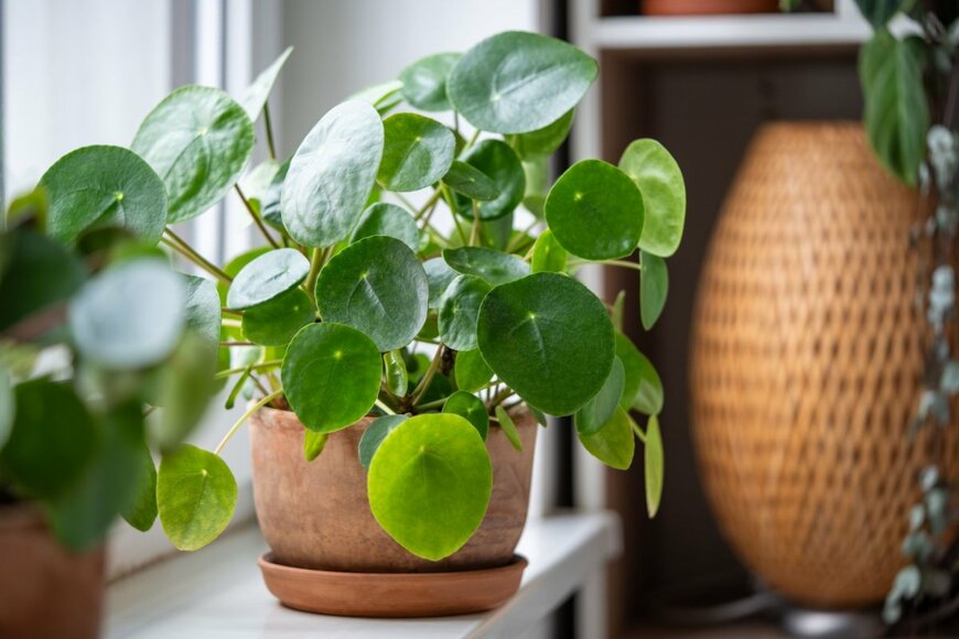 DimaBerlin/shutterstock.com