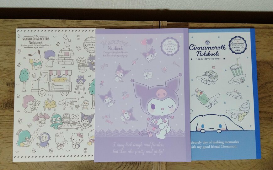 筆者撮影（セリア、自由帳 B5サイズ 24枚）