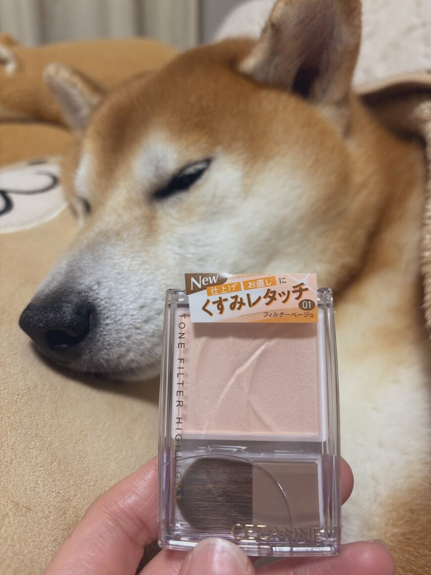 出所：@48dogchat1mame2