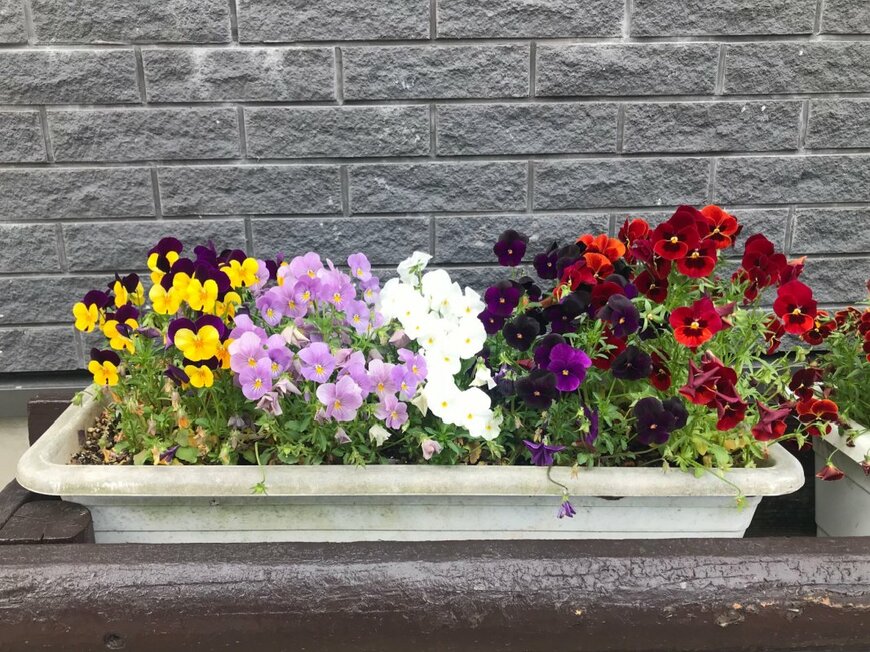 Nature eyes/shutterstock.com