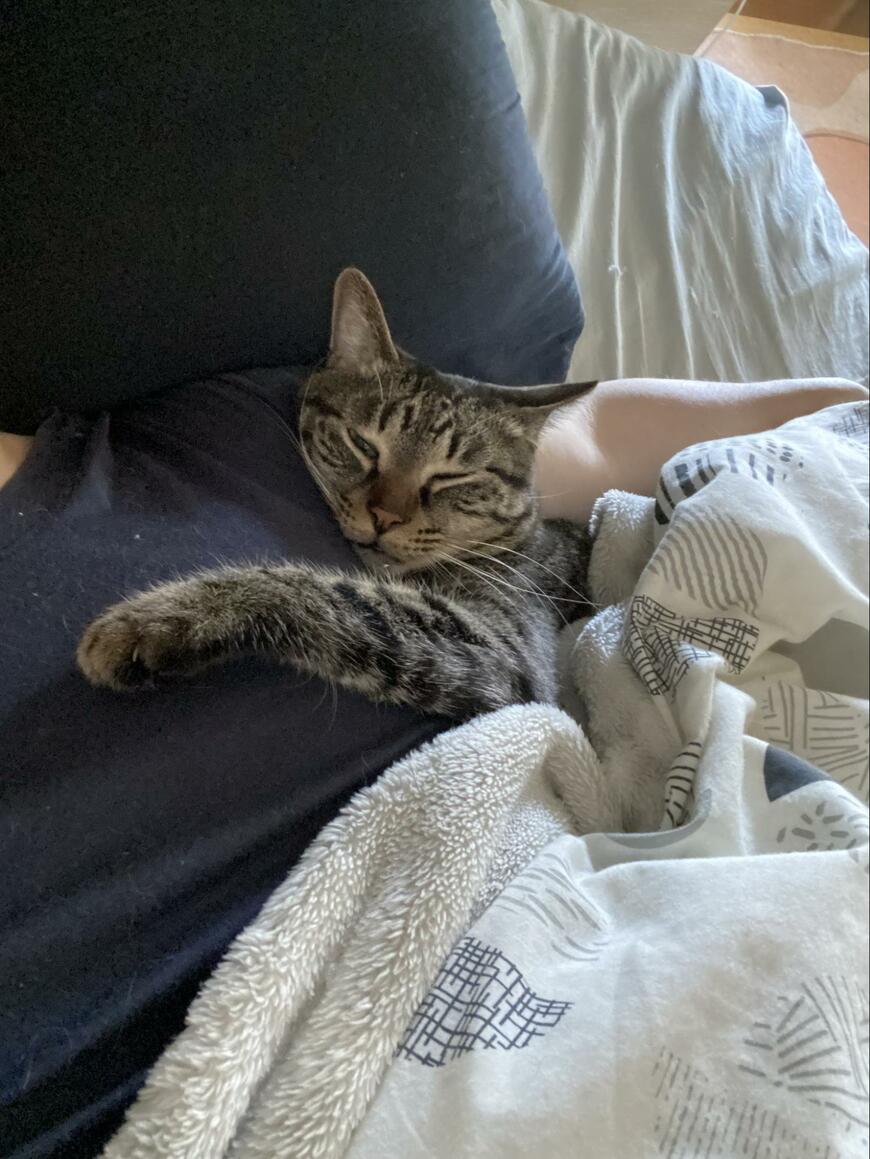 出所：@00shitemita