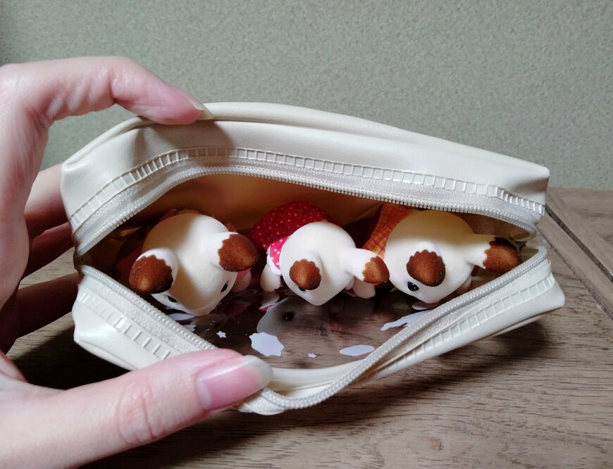 筆者撮影（セリア、PVCポーチ 窓あき ヴィンテージアニマル）