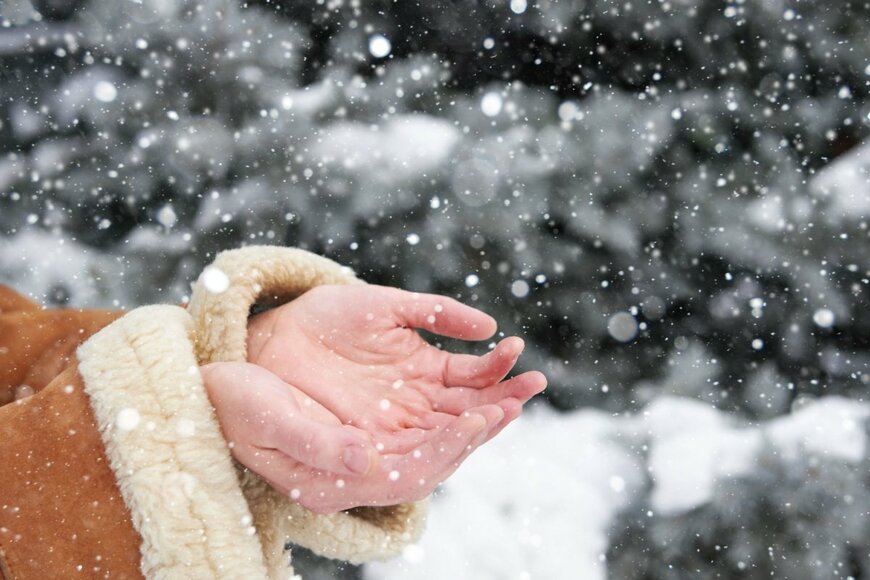 【珍しい】上着についた美しい『雪の結晶』がその後…小さな奇跡の連続にSNS中が感動の嵐