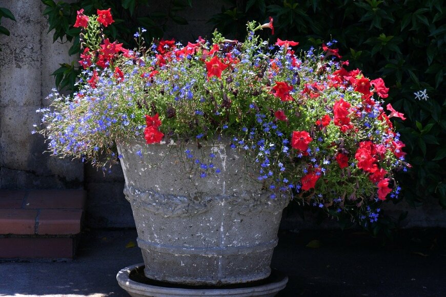 aksyBH/istockphoto.com